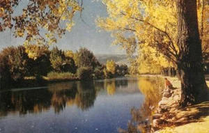 Postal vintage cromada de TRUCKEE RIVER Lake Tahoe, Reno California Nevada c1940 - Imagen 1 de 1