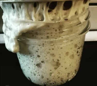 Mom's San Francisco SOURDOUGH STARTER -- LARGE AMOUNT 235yrs old - Image 1 of 4