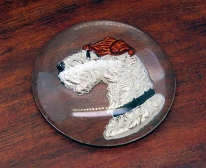 Vintage WIRE HAIR TERRIER CANE RETRO CRISTALLO INTAGLIO VETRO cabina SOLO #M - Foto 1 di 2