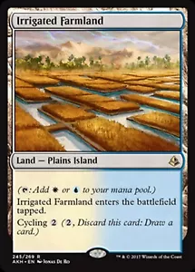 MRM ENGLISH Irrigated Farmland - Irrigated Arrable Land MTG magic AKH - Picture 1 of 1