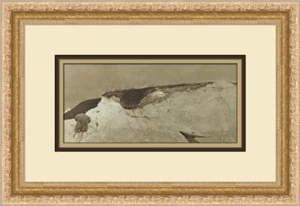 Andrew Wyeth Lime Banks Custom Framed Print - Picture 1 of 2