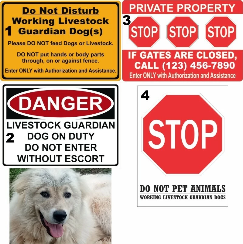 Letreros LGD Ten Bears mostrados o personalizados; 2 letreros polimetálicos de 12x16 3 mm envío UPS GRATIS Foto 1 de 1