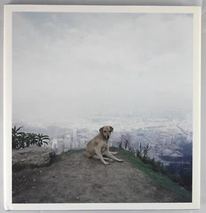SIGNED - ALEC SOTH - DOG DAYS BOGOTA - 2007 1ST ED sleeping niagara love print - Imagen 1 de 2