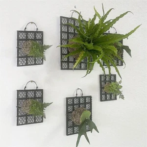 Thickened Staghorn Fern Board Dendrobium Gardening Hanging Board - Picture 1 of 9