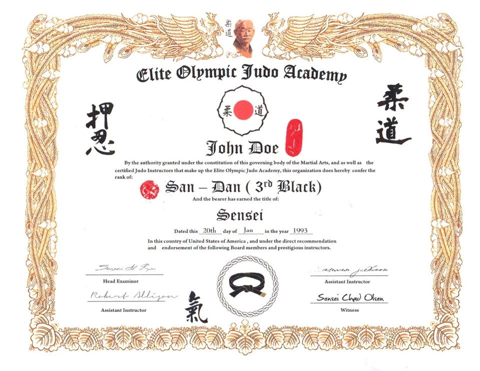 Olympic Judo Custom 11x14 Rank certificate - Image 1 of 1