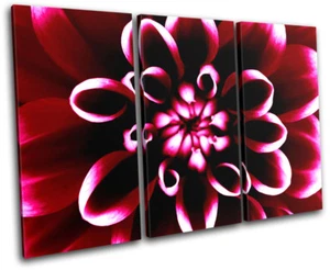 Flowers Floral TREBLE CANVAS WALL ART Picture Print - Picture 1 of 1
