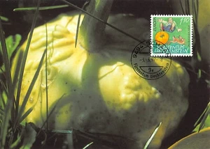 Carte Maximum FDC LIECHTENSTEIN Europa 1997 MK 147 n2 - Picture 1 of 2