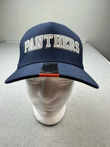 Nike Pitt Panthers Verbiage Swoosh Flex DNA Navy Classic 99 Baseball Hat - Picture 1 of 6