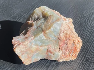 Hampton Butte Petrified Wood Specimen 2 lbs 7 Oz Jasper Agate Gems - Picture 1 of 8