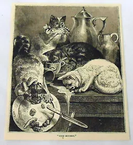 1878 Gravur ~ GUTE MOUSER ~ Katzen auf einem Esstisch - Bild 1 von 1