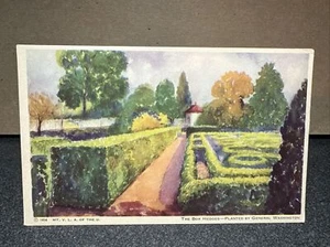 Cartolina La Scatola Siepi �� - Foto 1 di 2