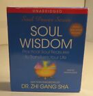 Soul Wisdom By Dr Zhi Gang Sha Audio Books Practical Soul Treasures to Transform