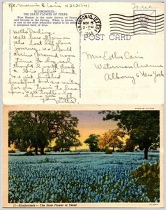 1944 Texas Bluebonnet Postcard San Antonio Art-Colortone by Ellison - Picture 1 of 1