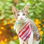  Lgbt Dog Bandana Birthday Triangular For Pet Triangle Towel The Cat