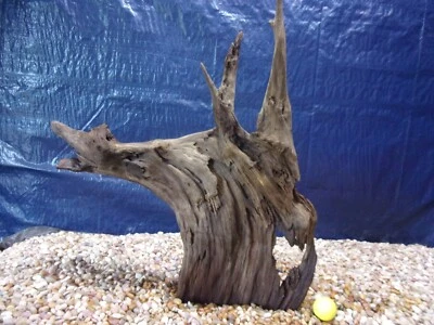 X-Large Driftwood 24"x22"x05" Aquarium Terrarium Reptile Natural Art - Image 1 of 4