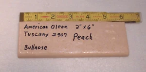 1 Stk. Keramik Bullnose Fliese: 2" x 6" Toskana Pfirsich #907 von American Olean: NEU - Bild 1 von 16