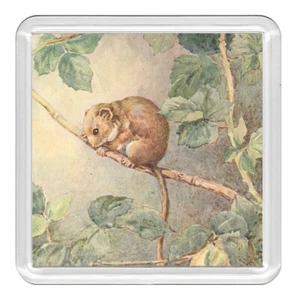 Lirón Vida Silvestre Naturaleza Acrílico Montaña Montaña Novedad Taza Alfombra Gran Regalo - Imagen 1 de 1