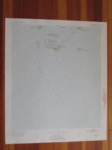 Seepferdchen Schlüssel Florida 1956 Original Vintage USGS Topo Karte - Bild 1 von 1