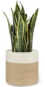 Jute Spliced Cotton Rope Plant Basket Modern Woven Storage Basket For 10" Floor - Picture 1 of 7
