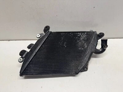 Radiatore Sinistro Ducati 1200 Diavel 2011 (2011 - 2014) - Immagine 1 di 4