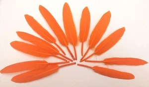 12 Small Bright Orange Goose Tropical Feathers Wedding Hats Crafts 4" - 5.5" - Picture 1 of 4