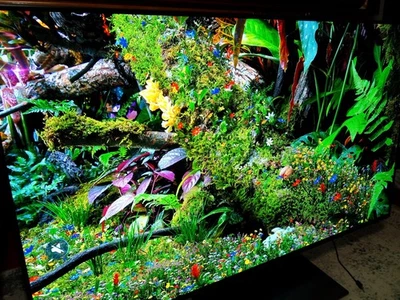 Smart TV Samsung 48 pulgadas OLED S90F 4K UHD con Vision AI 2025 modelo QN48S90F Foto 1 de 2