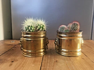 PAIR OF VINTAGE BATES BRASS LIONS HEAD HANDLES HERB CACTI PLANTERS PLANT POTS - Picture 1 of 15