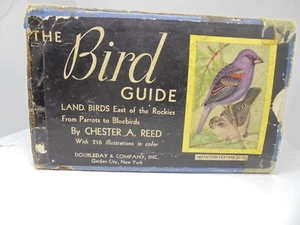 Antiker "Der Vogelführer Landvögel östlich der Rocky Mountains" von Reed - Bild 1 von 15