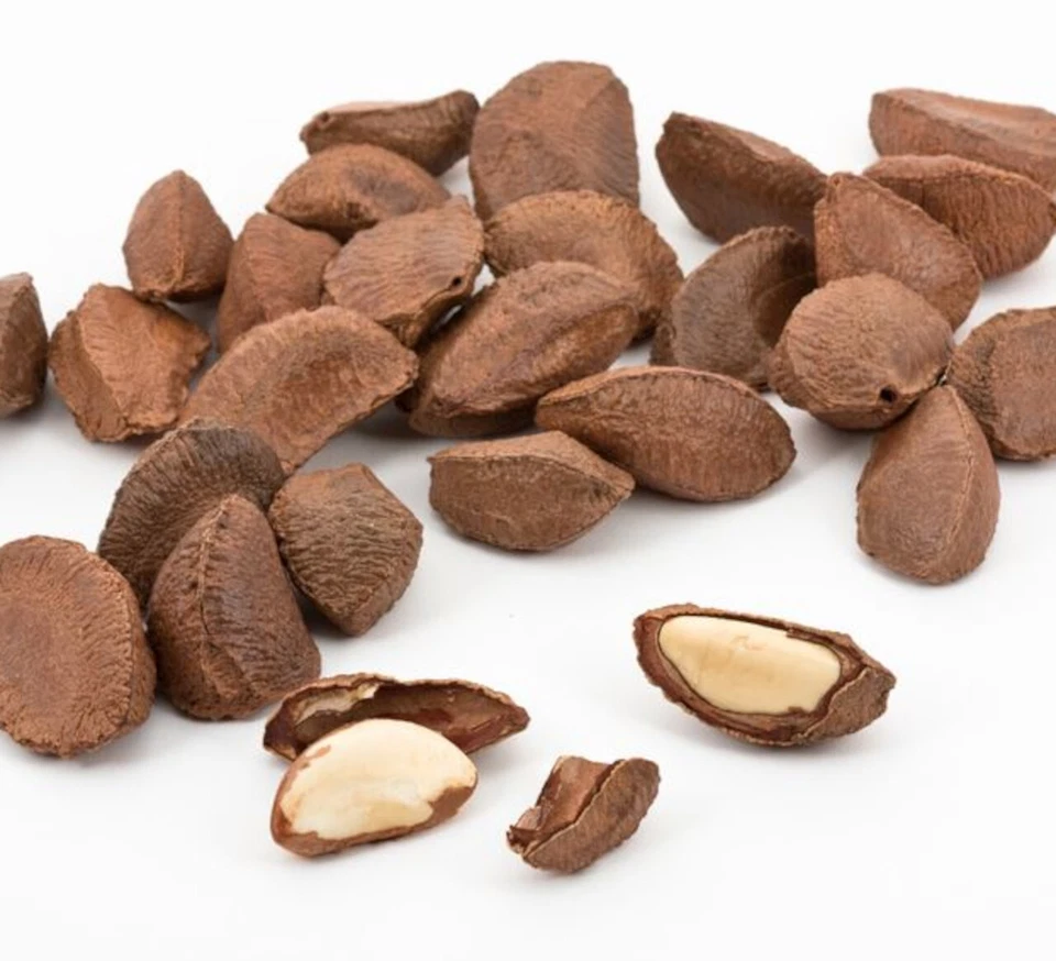 1kg BIO Paranüsse ganz in Schale aktuelle Ernte - **KNALLERPREIS** 0 0 - Bild 1 von 1