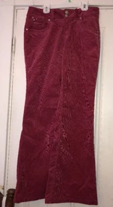 Limited Too Girls Dusty Rose Shimmer Corduroy Pants Sz 16 1/2 NWT Rhinestones - Picture 1 of 4