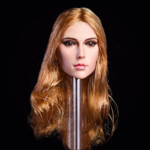 Testa di femmina 1/6 scolpita capelli biondi Sha per corpo figura PHICEN SUNTAN 12" femmina - Foto 1 di 4
