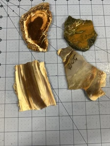Petrified Wood Slab Lot- 4 Slabs - Old Stock - Crafts - Display - Lapidary Gems4 - Picture 1 of 5