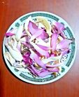 Kräutertee Ceylon Bio weiß und rot Lotus/Seerose getrocknete Blume 50g
