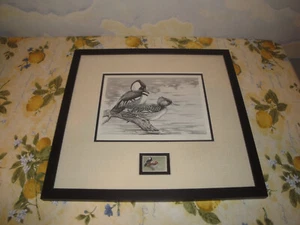 1968 Framed Federal Duck Stamp Print Hooded Mergansers RARE! - Picture 1 of 5