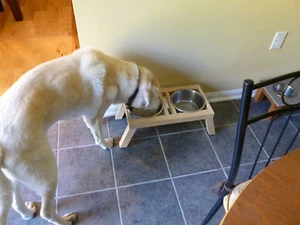 25-80 lb Dog Bowl Stand Feeder Station with Stainless Steel Bowls. Made in USA - Picture 1 of 5