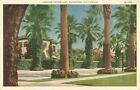 Vintage Postcard Orange Grove Ave Pasdena Sidewalk Homes Color California