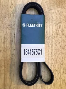 Cinturón Fleetrite Serpentine 1841575C1 - Imagen 1 de 5