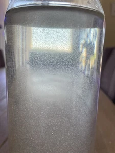 Zooplankton Salzwasser Rädertierchen 1 Liter (Brachionus Plicatilis - Bild 1 von 3