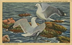 Postal Seagulls Sacred Bird Salt Lake Utah UT pm 1948 - Imagen 1 de 2