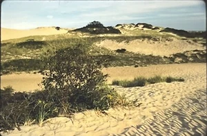 Foto De Colección Diapositiva Sand Dunes Provincetown Massachusetts MA - Imagen 1 de 2