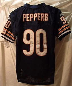 Julius Peppers Chicago Bears Reebok Sewn Football Jersey Youth Size Medium - Picture 1 of 3