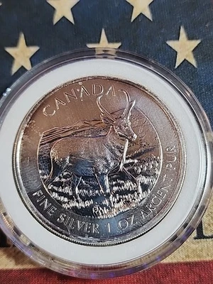 2013 Canada Pronghorn Antelope $5 .9999 Fine Silver 1 oz 5 Dollars - Image 1 of 2
