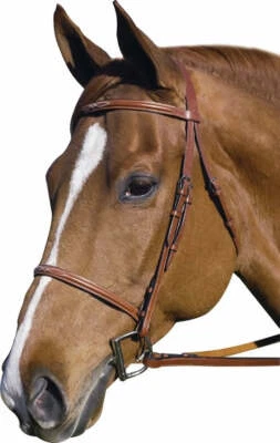 UNDISCLOSED Henri de Rivel Henri de Rivel Pro Fancy Raised Bridle With Laced Reins
