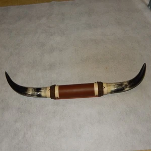 Mounted Steer Cow Horns 2 Feet 6" Polished Mount Bull Wall Rack Black White - Picture 1 of 10
