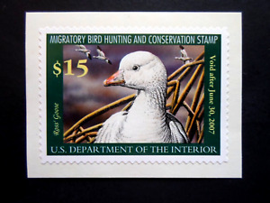 2006 US Federal Duck Stamp  Ross's Goose - Cat # RW73A Single Adhesive Stamp MNH
