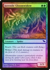 Juvenile Gloomwidow FOIL Shadowmoor PLD Green Common MAGIC MTG CARD ABUGames