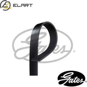 VRIBBED BELT 8PK1985HD FOR MERCEDES-BENZ ATEGO/2 ECONIC AXOR ZETROS SCANIA - Picture 1 of 7