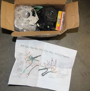 50cc-110cc CDI Wire Harness Stator Assembly Wiring Kit Chinese ATV Electric Quad - Foto 1 di 1