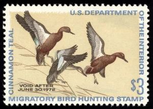 US RW38 $3 Hunting Permit Stamp 1971 Three Cinnamon Teal VF NH - Picture 1 of 2