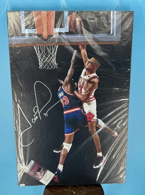 Scottie Pippen&Patrick Ewing Signed Blacked-Out Canvas JSA AuthenticatedWrapped - Image 1 of 4